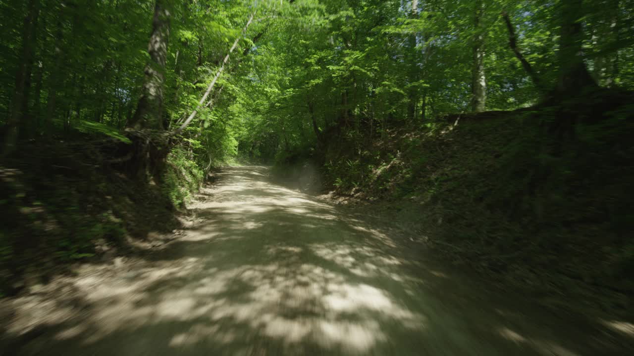 处理板直后方的驾驶在一条双车道的乡村道路上，土路被树木环绕。汽车驶过一座小桥视频下载