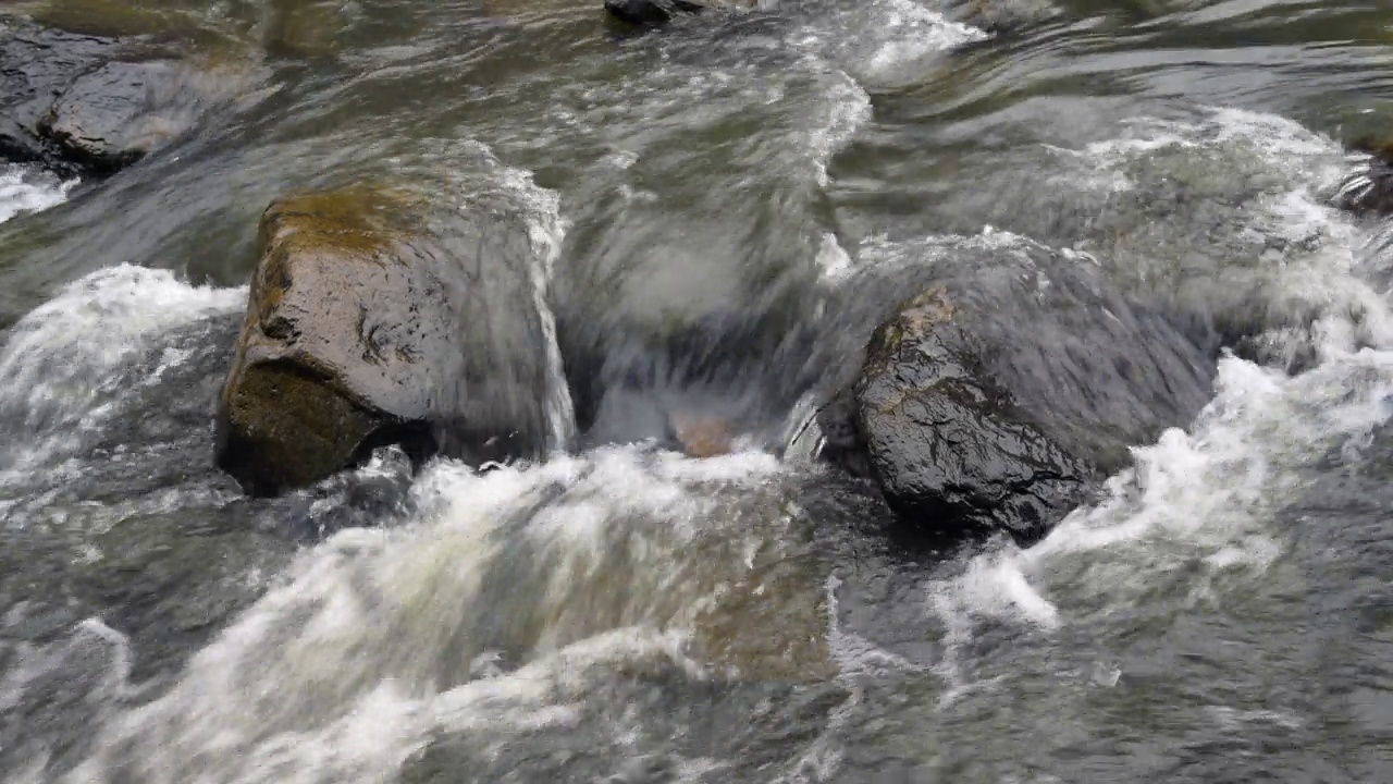 小溪流水视频下载