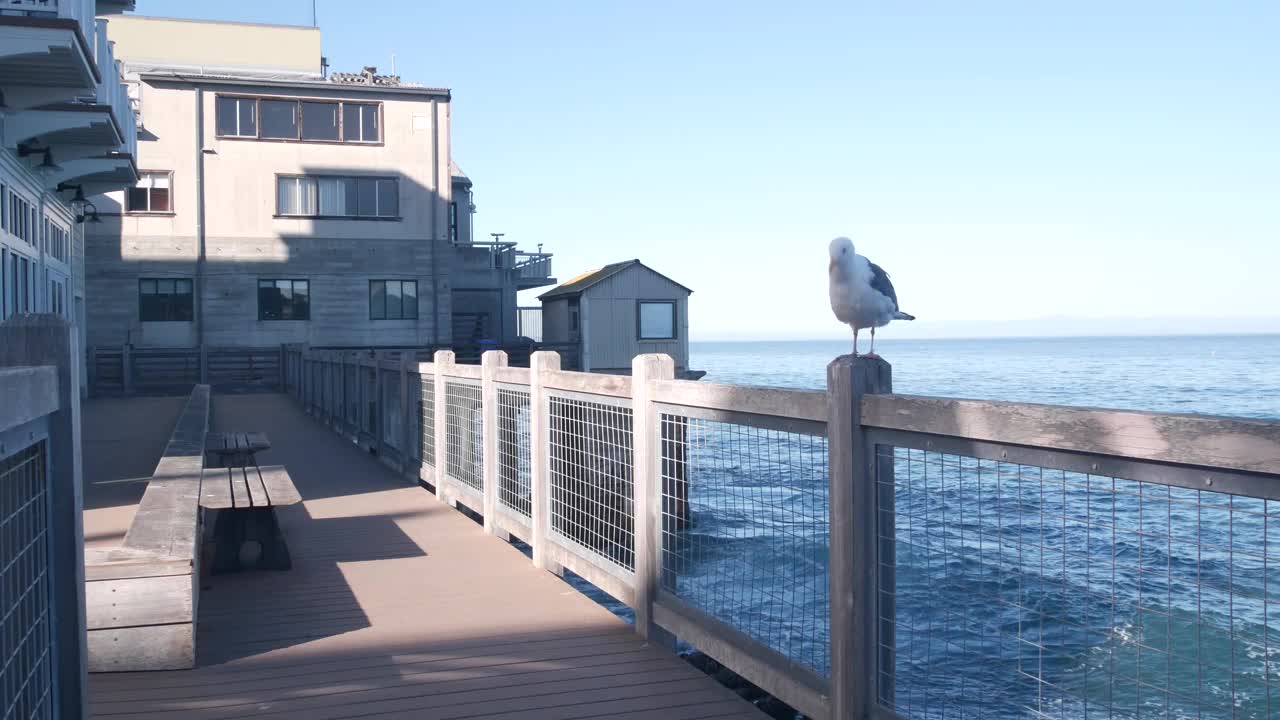 海滨木板路，加州蒙特利。罐头厂街的海滨水族馆。视频素材