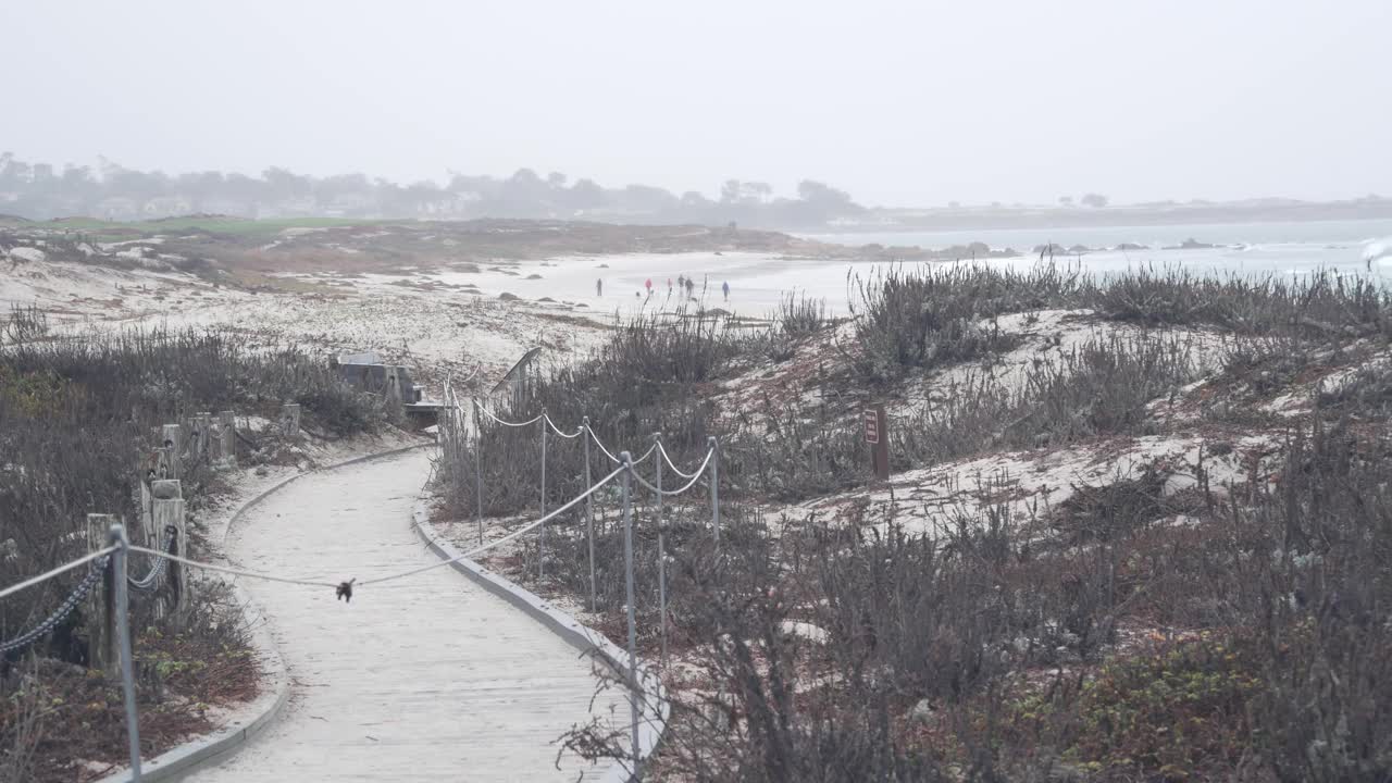 海洋沙滩沙丘，加州迷雾海岸。多雾多雨的天气，寒冷的大海。视频素材