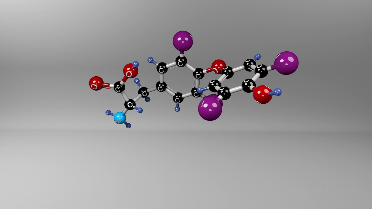 左旋甲状腺素分子。视频素材