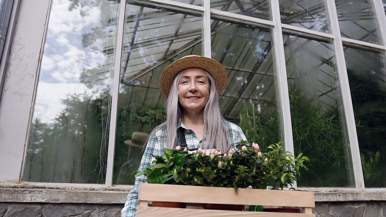 可爱的精神，勤劳的65-70岁的女人，戴着帽子站在温室的墙壁附近，手里拿着花盆视频素材