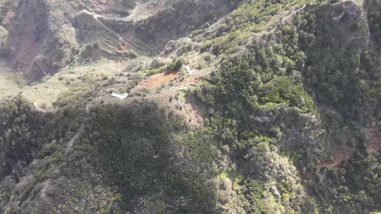 西班牙特内里费岛的山脉和森林视频素材