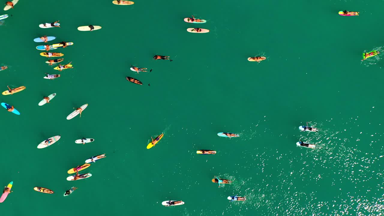 空中拍摄的人们在海里用冲浪板游泳，无人机在阳光明媚的日子里向上飞行——夏威夷瓦胡岛视频素材