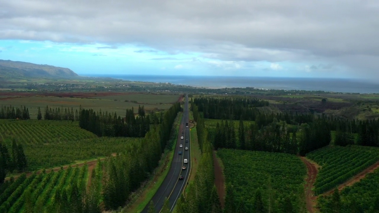 空中延时拍摄的汽车在道路上移动在树木中，无人机飞行在绿色景观-瓦胡岛，夏威夷视频素材