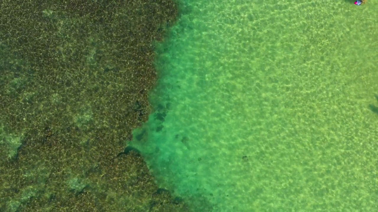 在阳光灿烂的日子里，人们在蓝色闪亮的大海中享受的空中倾斜拍摄-夏威夷瓦胡岛视频素材