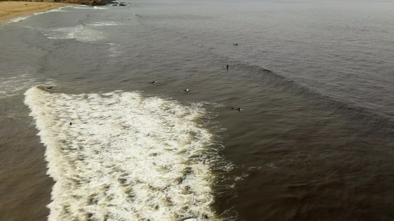 航拍拍摄的冲浪者游泳与冲浪板在海中度假期间在海滩-旧金山，加利福尼亚视频素材