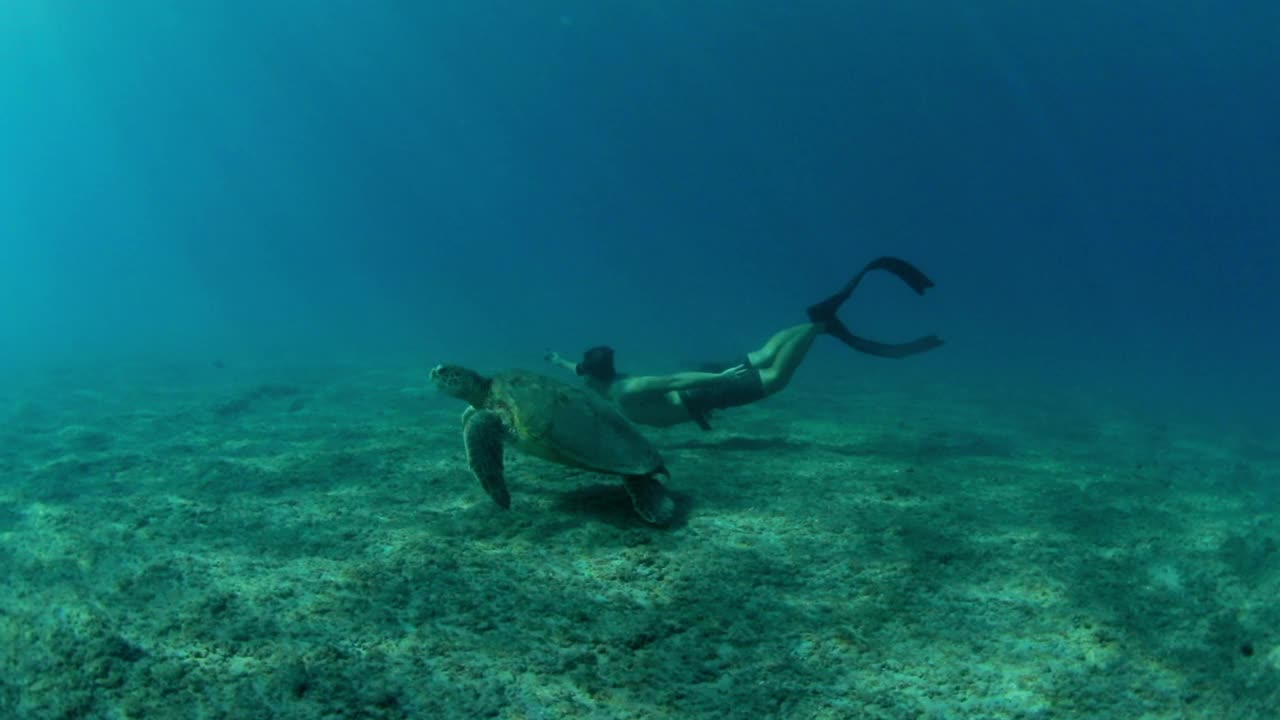 慢速镜头的男性浮潜者游泳与海龟在海洋-威基基，夏威夷视频素材