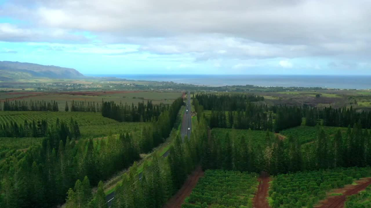 航拍汽车在公路上移动的海岸线，无人机飞过绿色的树木-夏威夷瓦胡岛视频素材