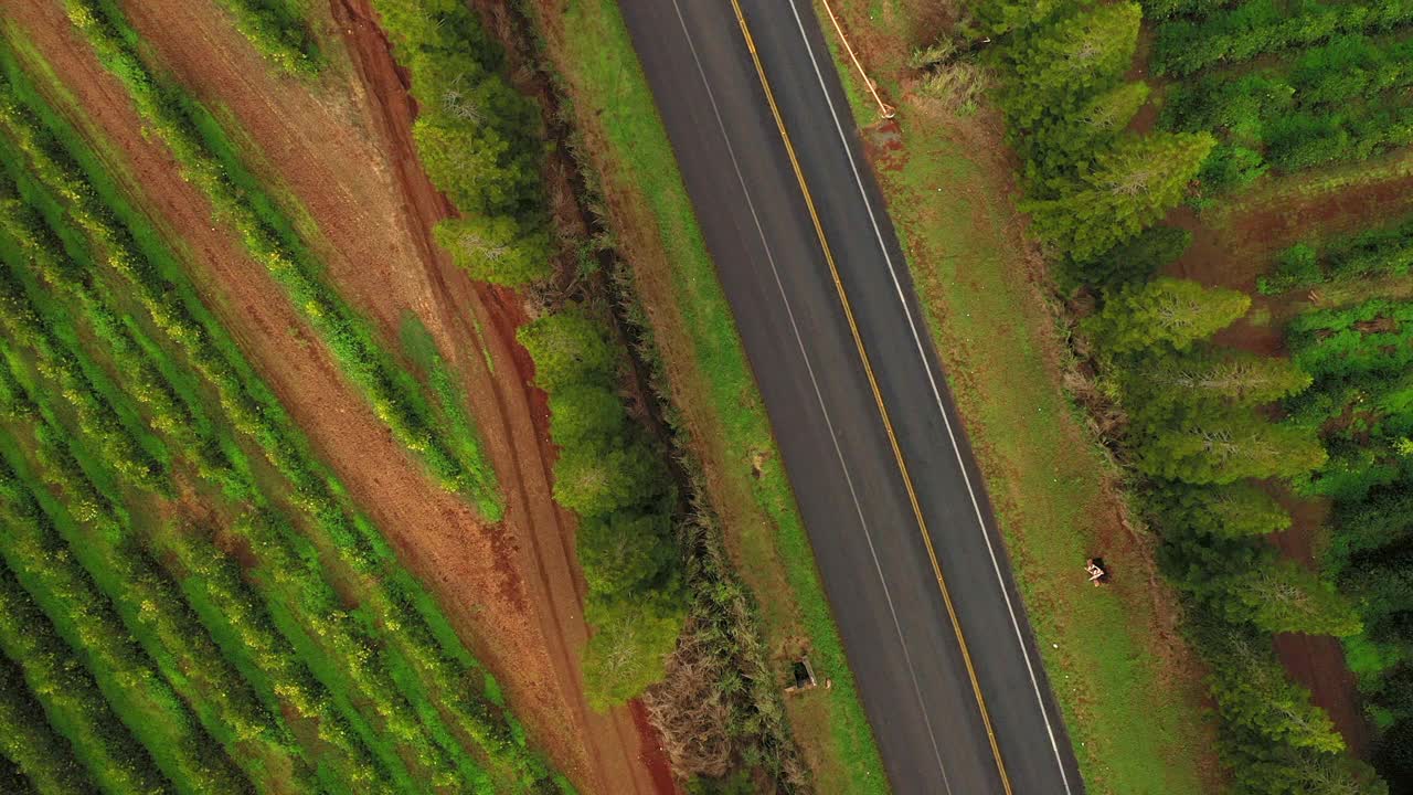 空中顶部向上拍摄的汽车在绿色树木中的道路上移动-夏威夷瓦胡岛视频素材