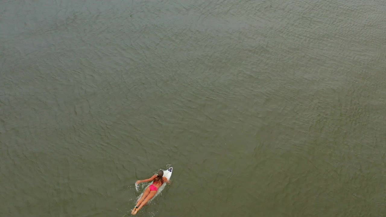 度假期间，夏威夷瓦胡岛，穿着比基尼的女子带着冲浪板在海上游泳视频素材