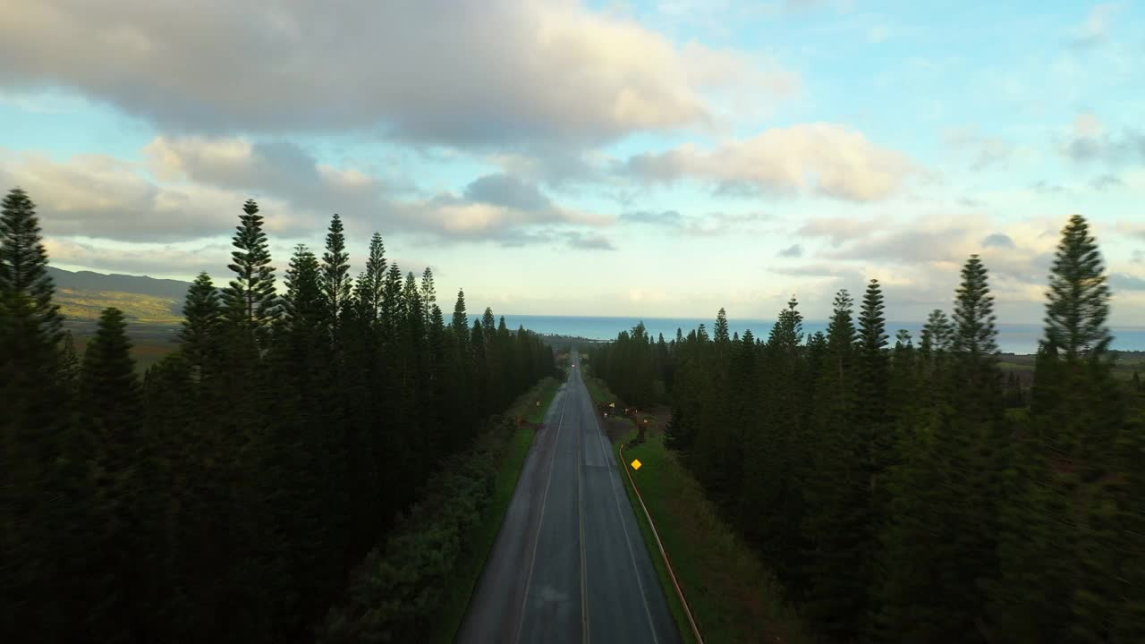 海上绿色景观的空中美景，无人机在日落期间飞越空旷的道路-夏威夷瓦胡岛视频素材