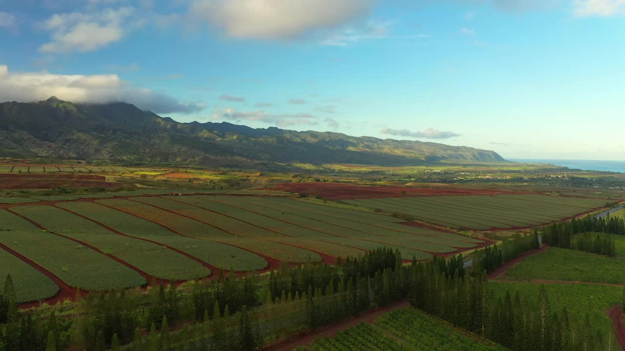 空中拍摄的汽车在云层下的道路上移动，无人机在农业景观上向前飞行-夏威夷瓦胡岛视频素材