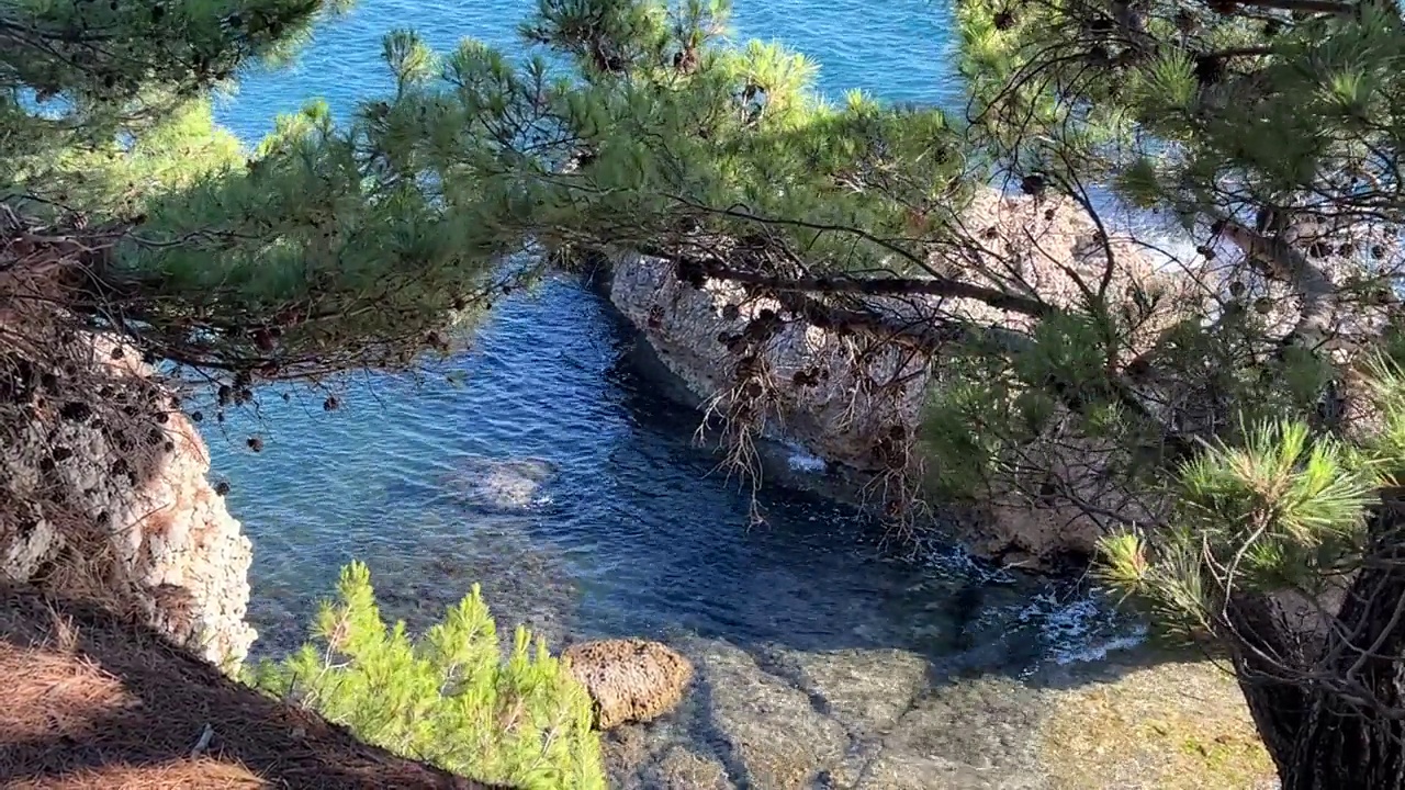 夏季地中海岩石海岸上的松树。视频素材