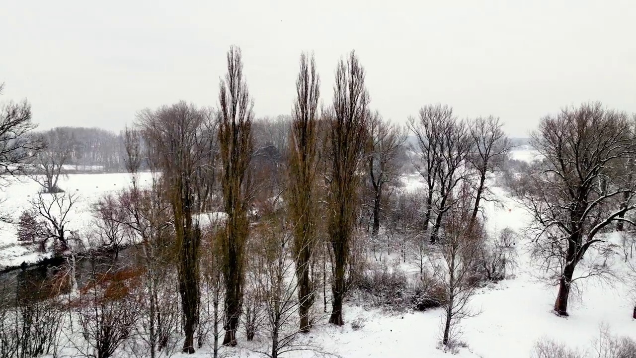 易北河冬季积雪覆盖树木视频素材