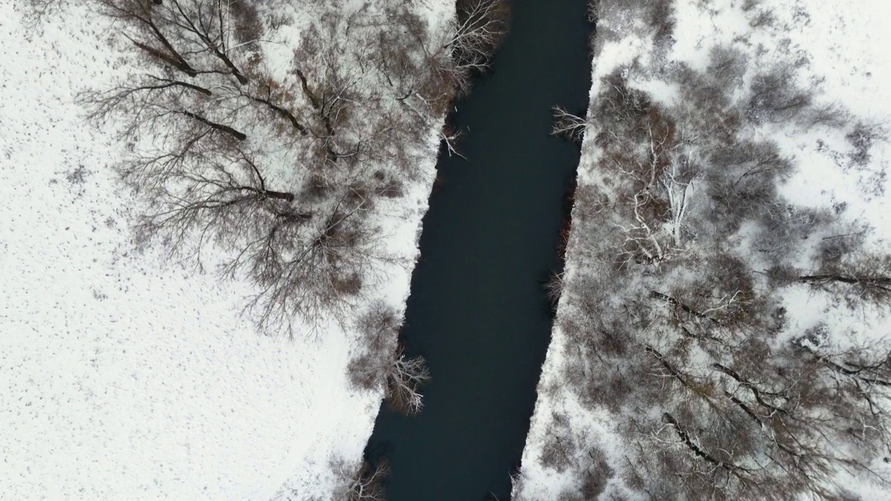 自上而下的镜头跟随吉泽拉河冬季积雪覆盖的树木视频下载