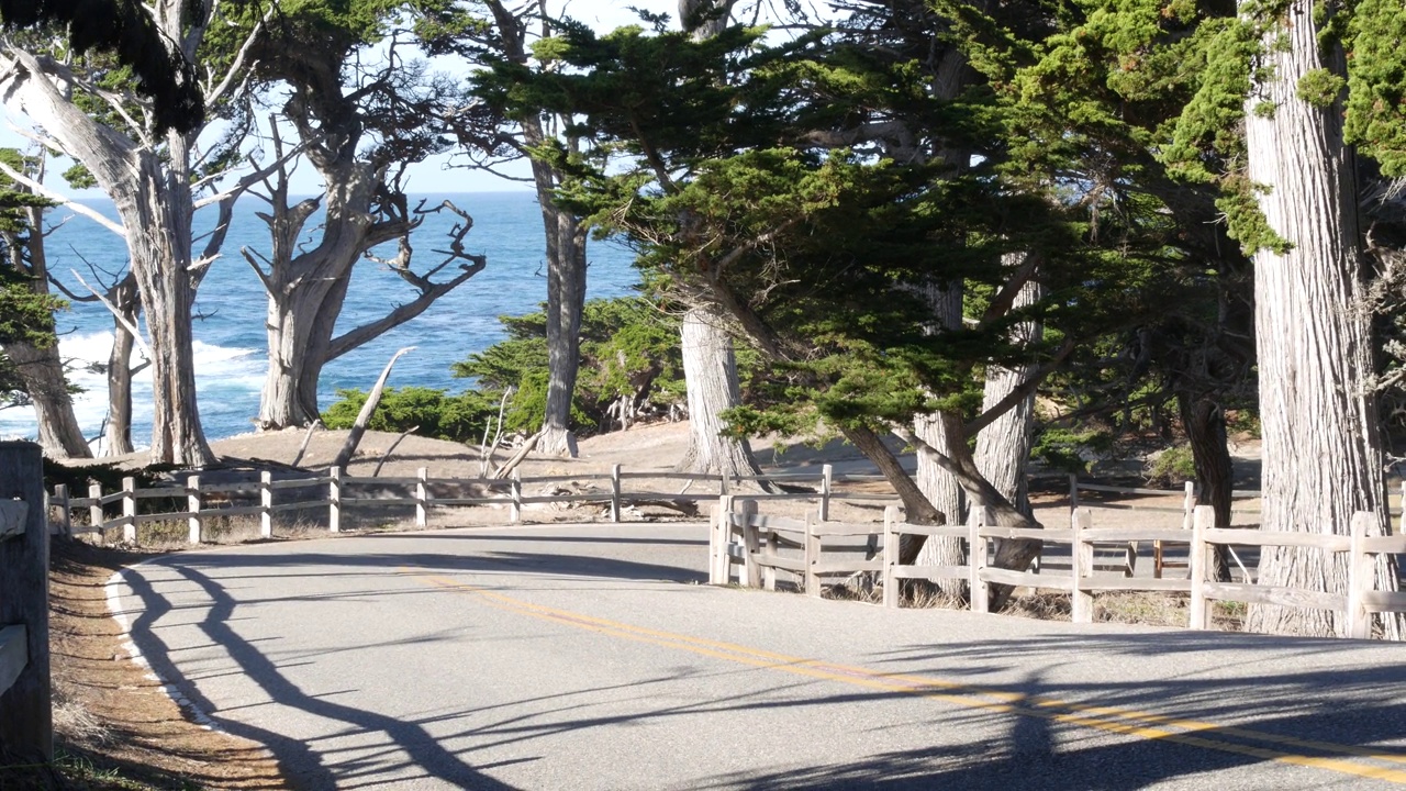 加州蒙特利，17英里风景公路。柏树或松树和海洋视频素材