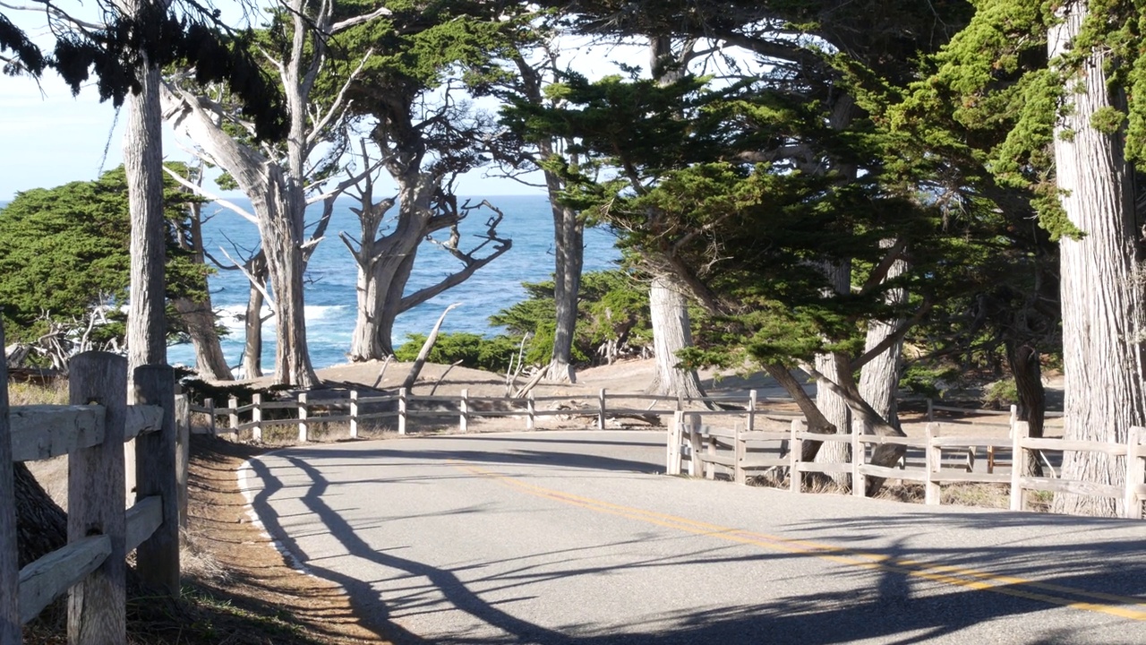 加州蒙特利，17英里风景公路。柏树或松树和海洋视频素材