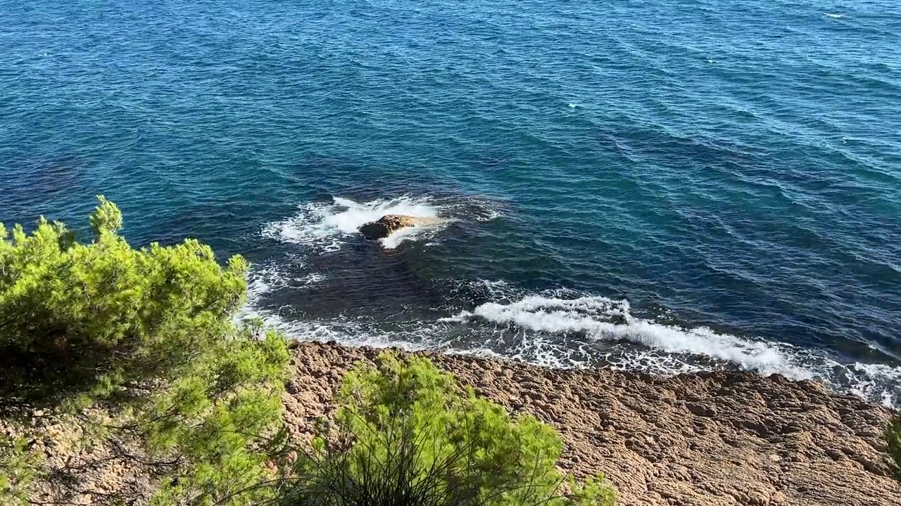 海浪，海岸岩石，松树。视频素材