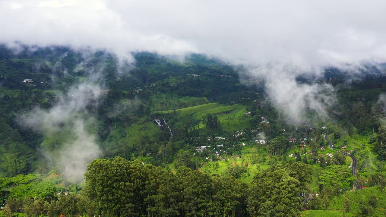 多山省份，有茶园，山坡上有雨林。茶园景观。视频素材