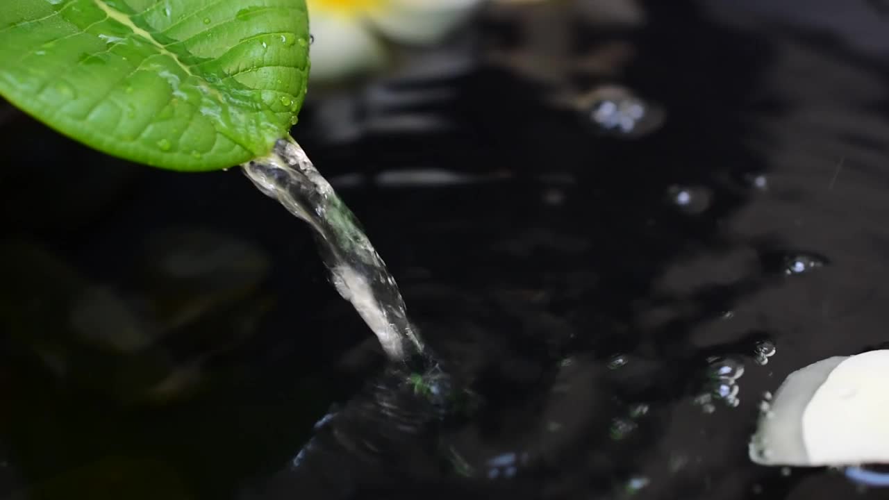 水滴在叶子上流动，底色暗黑水视频素材