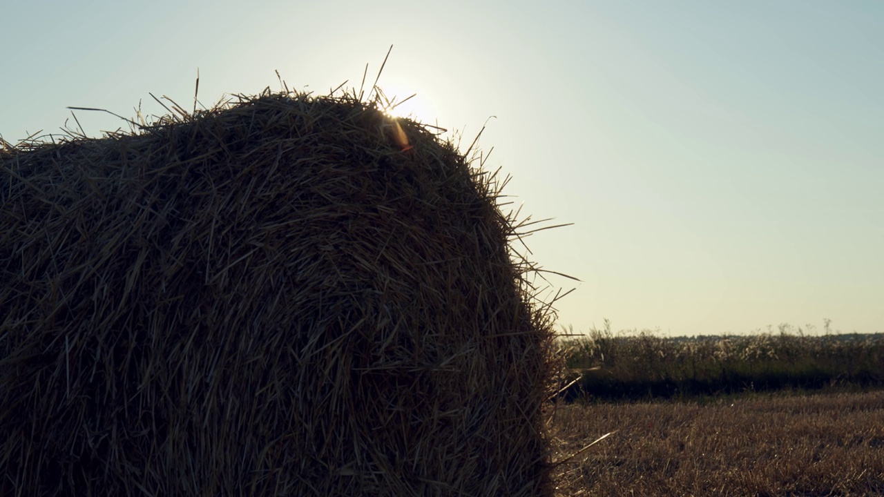 收割小麦或黑麦后的田间干草堆的近距离观察。干草堆的剪影，背后的阳光照进相机。视频素材