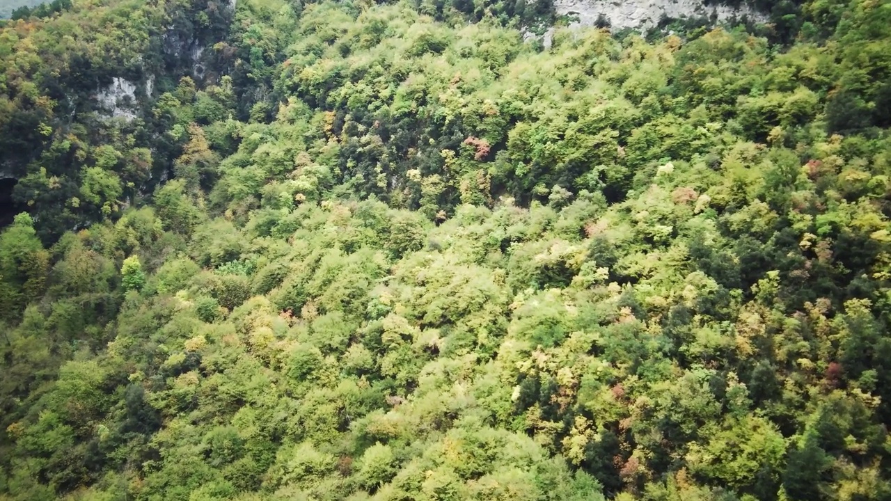 空中无人驾驶飞机超延时美丽的热带山谷之间的山。初升的太阳的第一缕光线穿透了云雾。夕阳最后的余晖照在树冠上。视频素材