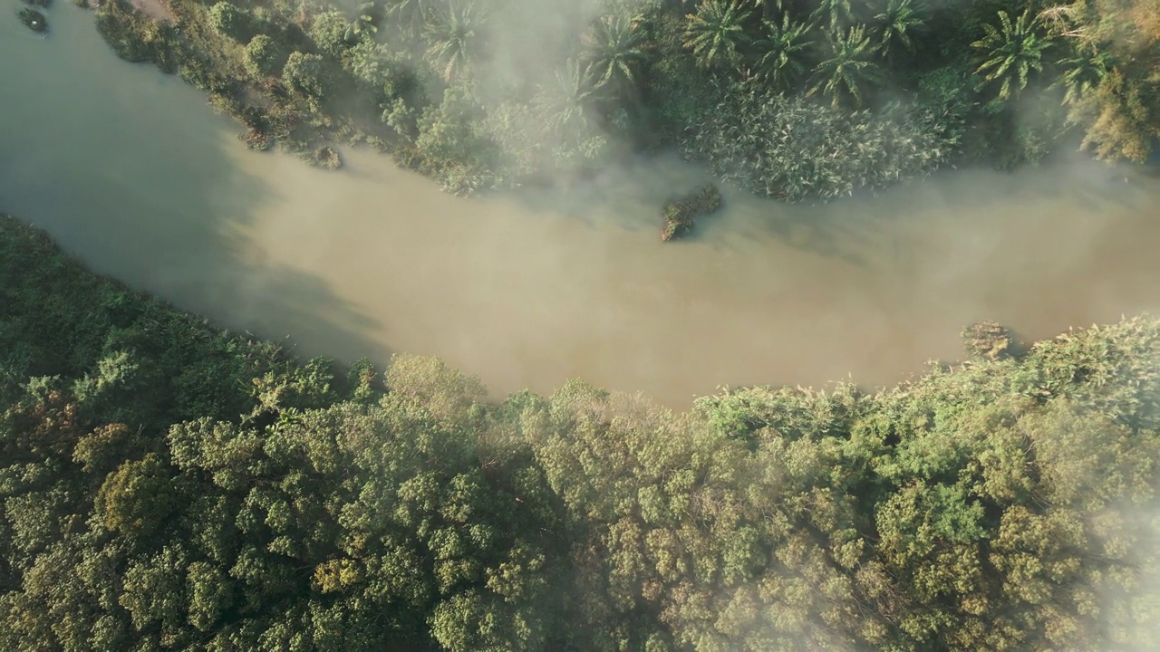 热带雨林早晨有雾，鸟瞰河流运河视频素材