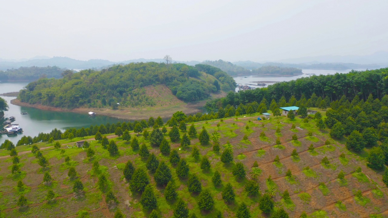 夏季国家公园热带森林中郁郁葱葱的树木的空中俯视图。自然景观。图案纹理背景。视频素材