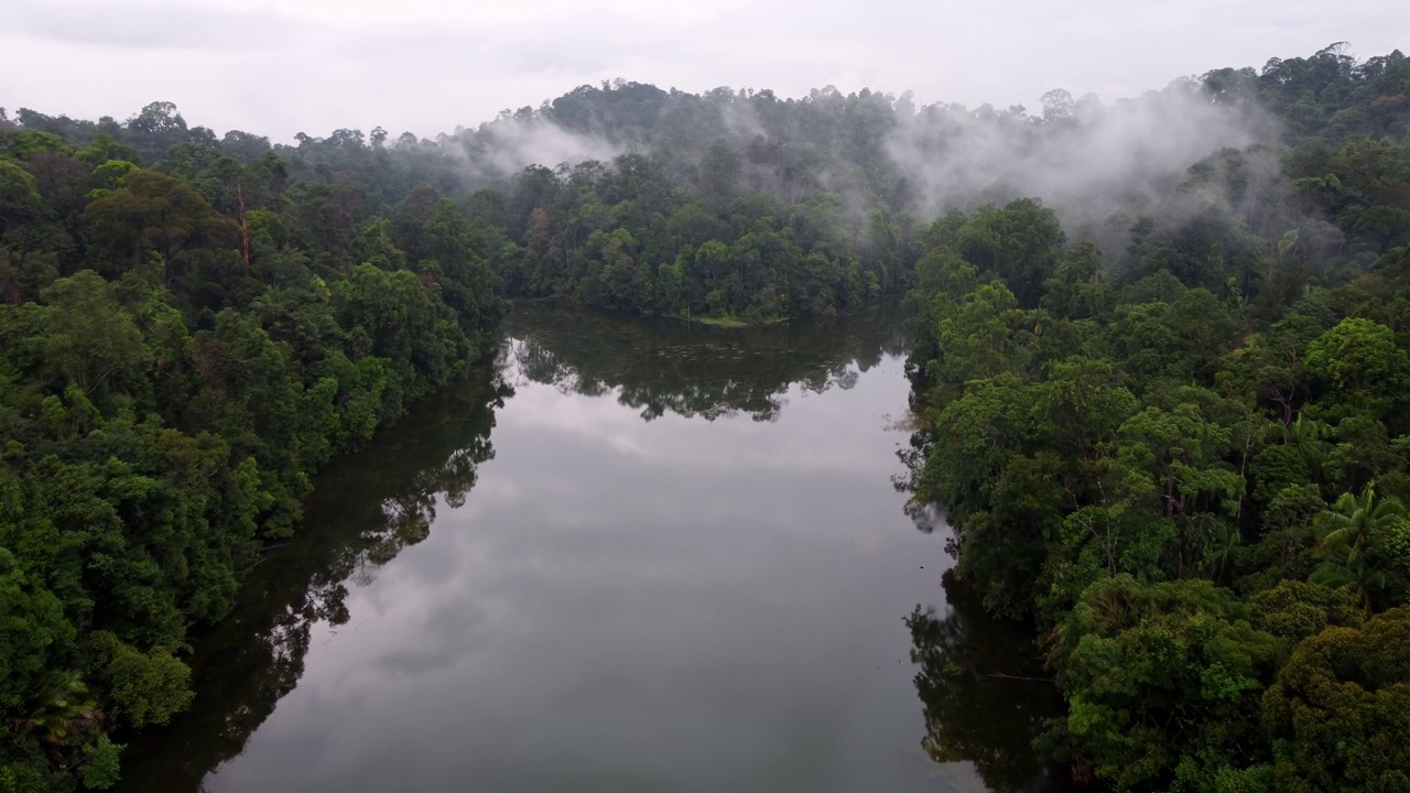 慢慢地飞过热带丛林中的湖泊视频素材
