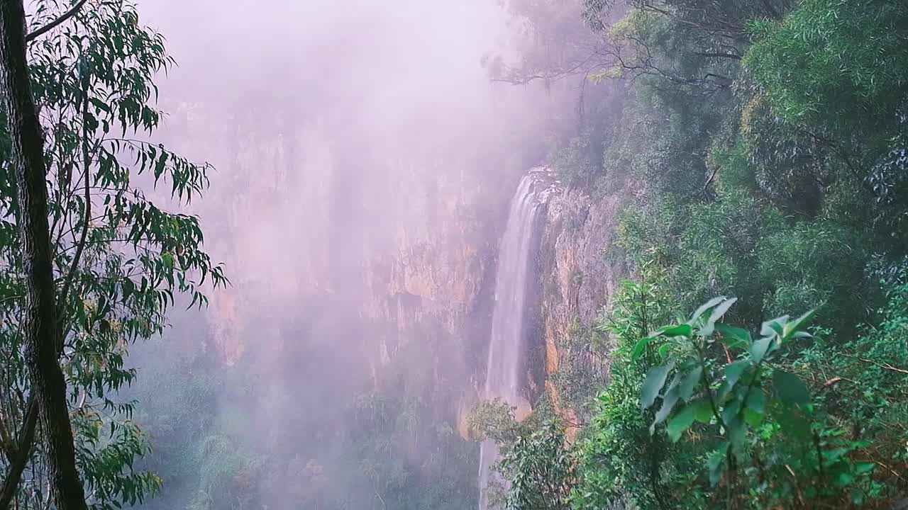 一个美丽的峡谷瀑布在雾蒙蒙的一天，黄金海岸，澳大利亚视频下载