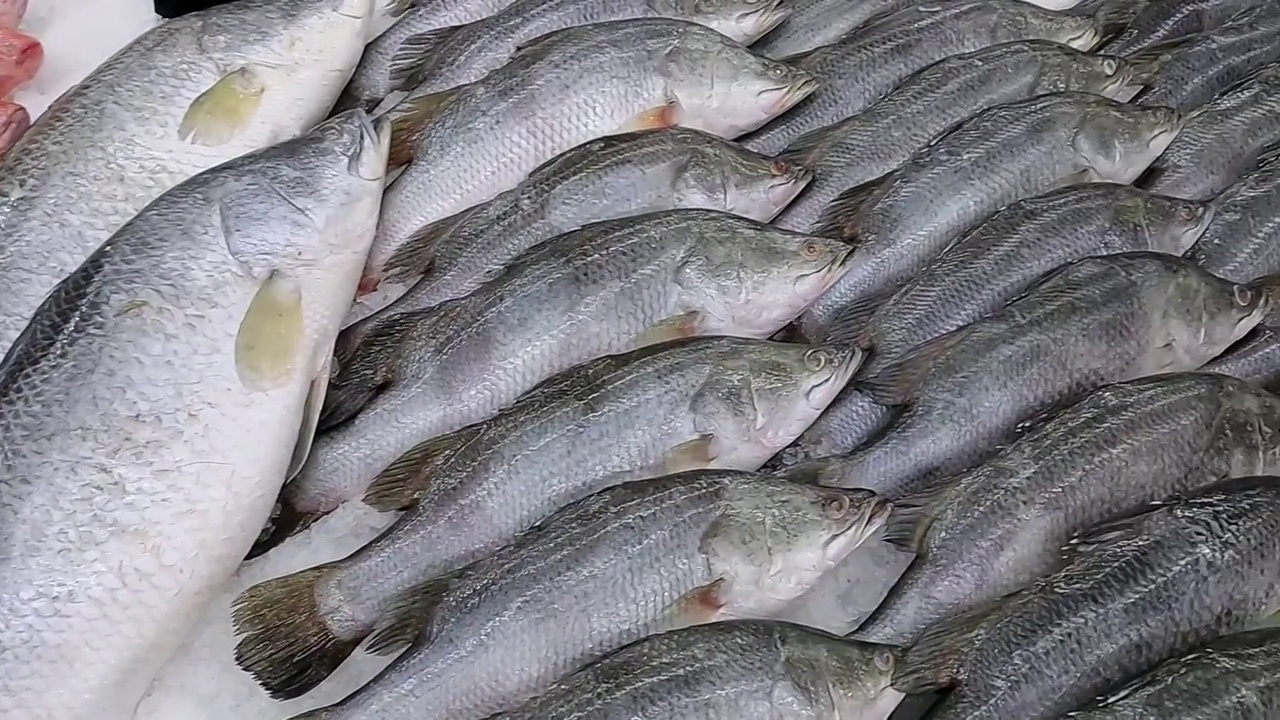 杂货店柜台上的冰鲜生鲶鱼、石榴鱼和海鲈鱼的特写。视频素材