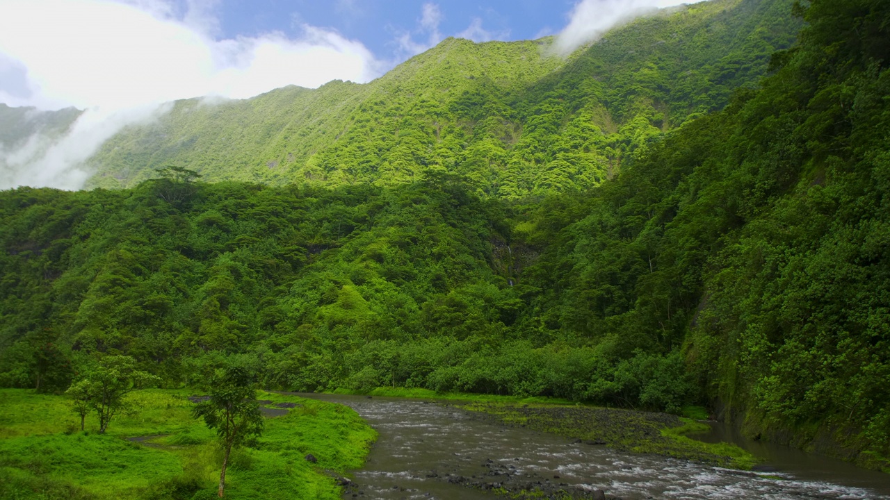 河流流过郁郁葱葱的青山视频下载