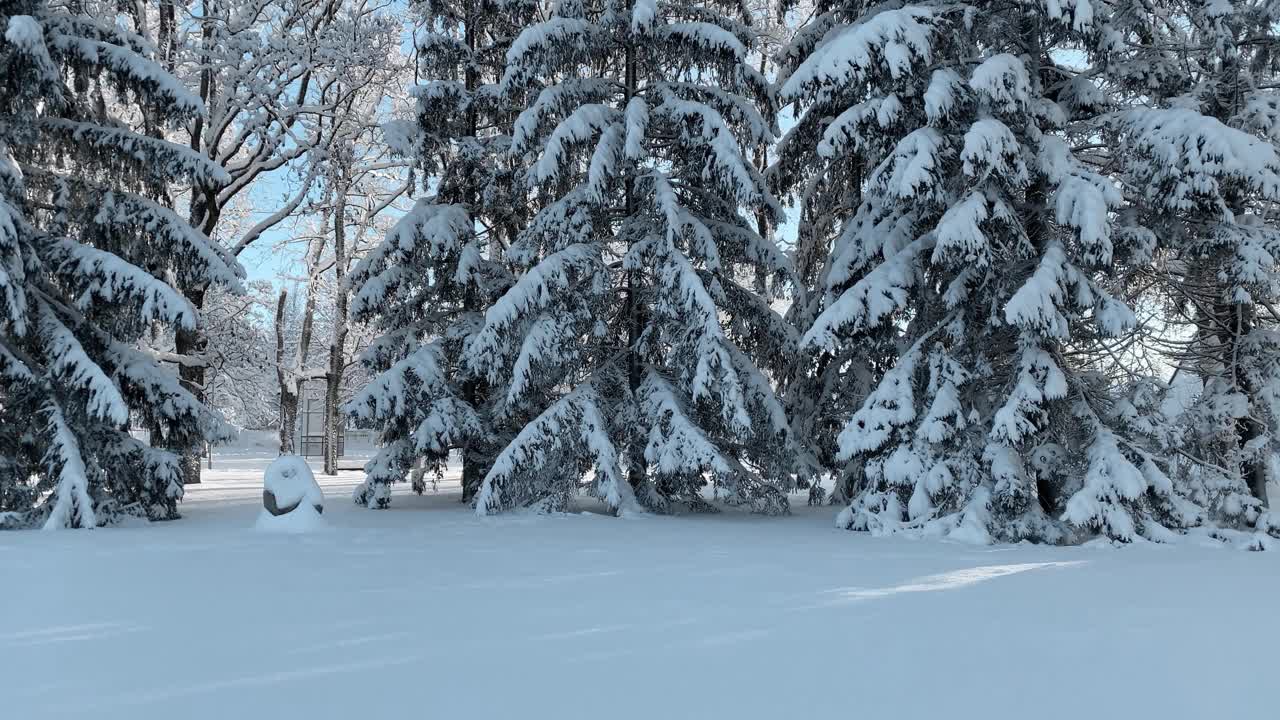 美丽的冬季景观，树木被雪覆盖。水平的视频视频素材