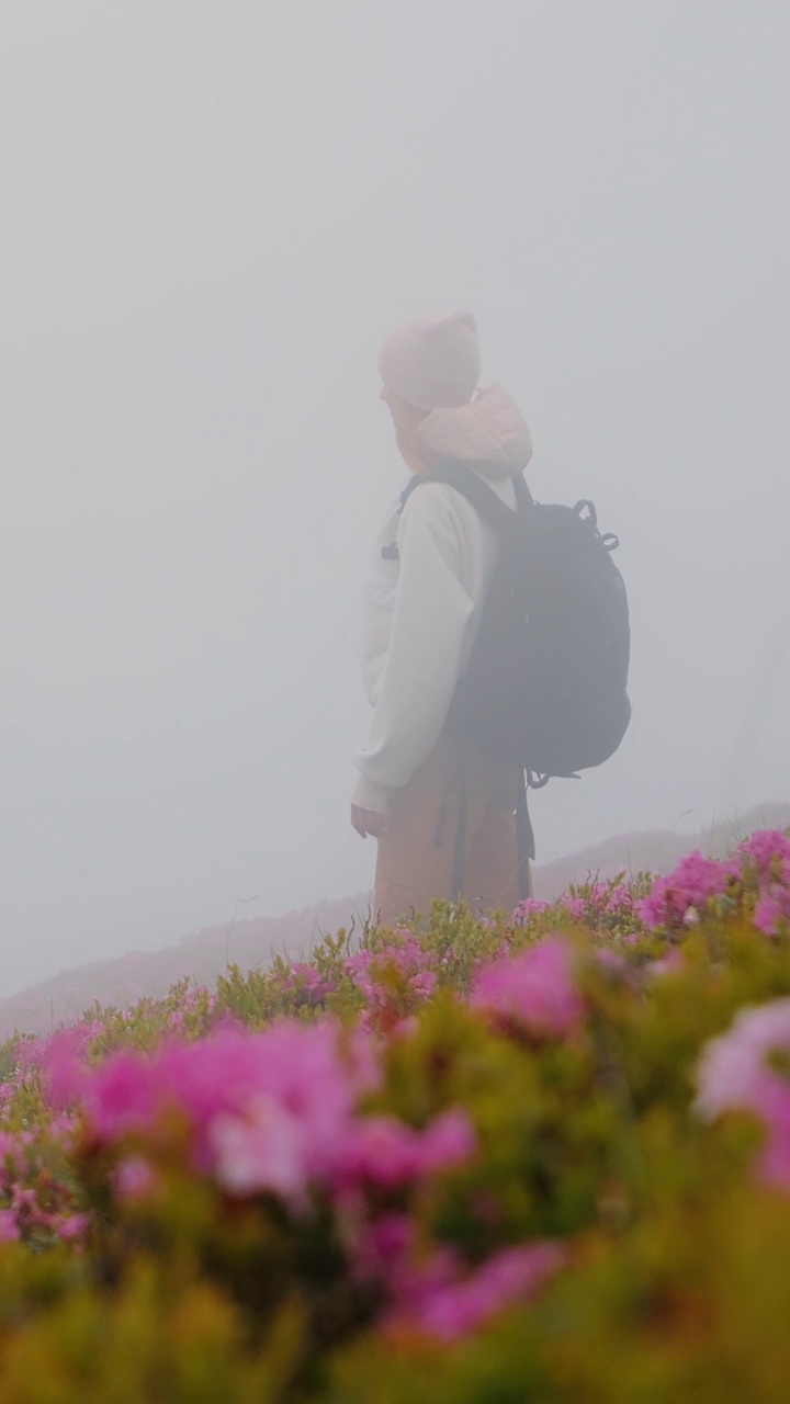 大雾中，背着背包的女子走在山里。视频素材