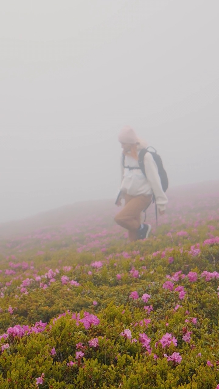 垂直屏艰难攀登的女探险家在迷雾山脉。视频素材