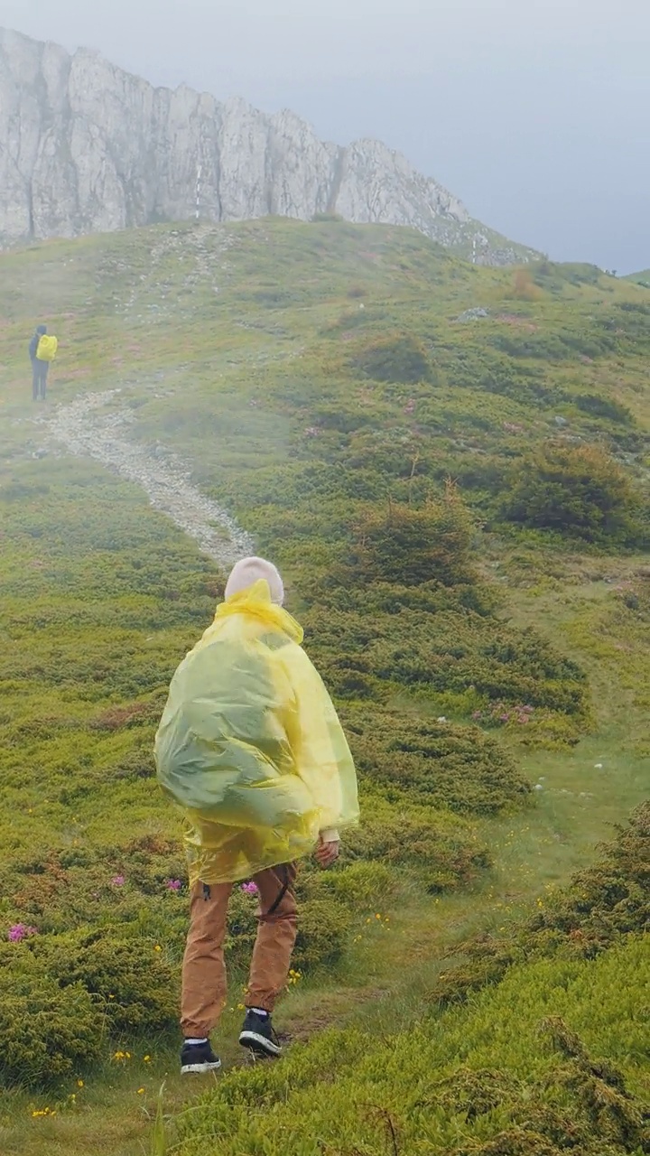 垂直屏幕女人穿过前进的雾上山。视频素材