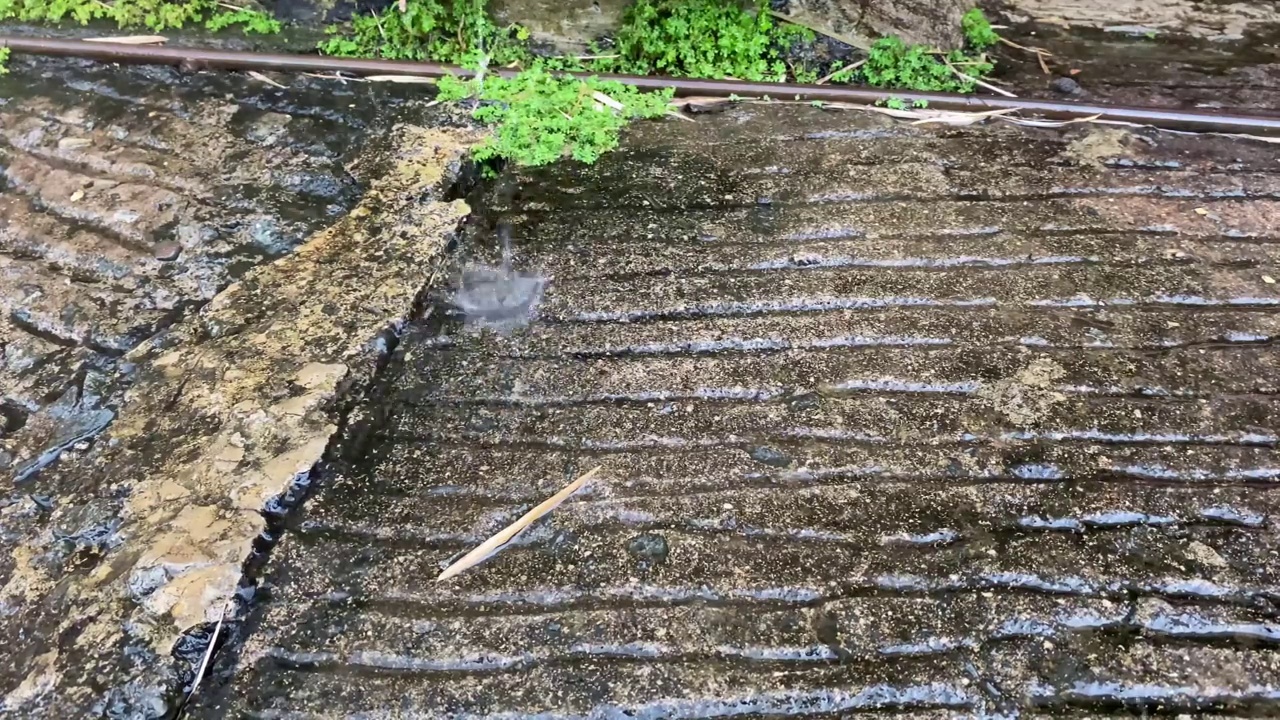 雨滴落在鹅卵石上。你可以看到一些植物或草生长在岩石之间，被雨水打湿了视频素材