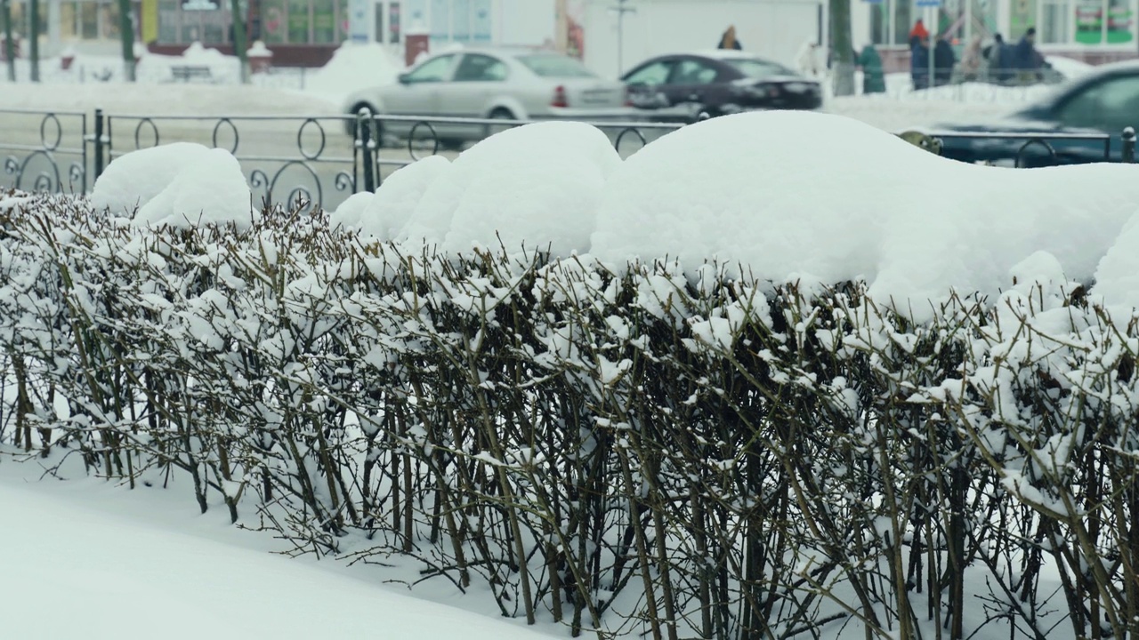 灌木丛上有雪，车和人都在外面的田野上清晰可见。视频素材