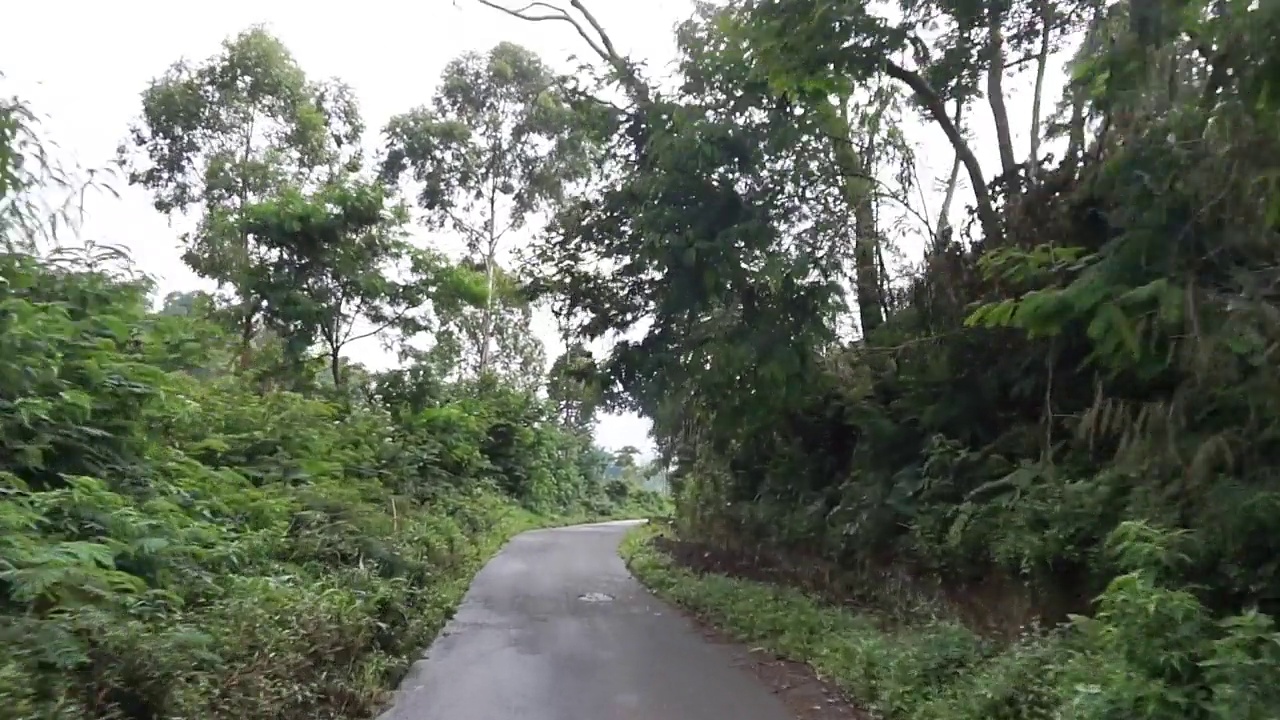 白天雨后多云多雾，沿途有山峦和高大绿树的自然风光视频素材