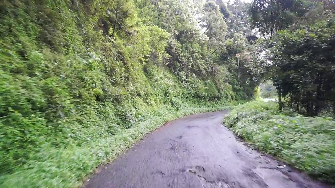 白天雨后多云多雾，沿途有山峦和高大绿树的自然风光视频素材