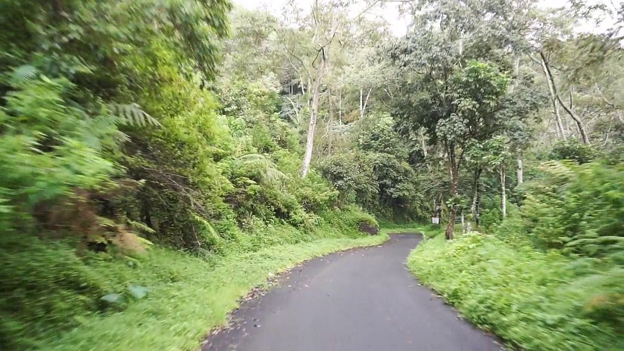 白天雨后多云多雾，沿途有山峦和高大绿树的自然风光视频素材