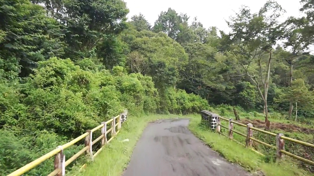 白天雨后多云多雾，沿途有山峦和高大绿树的自然风光视频素材