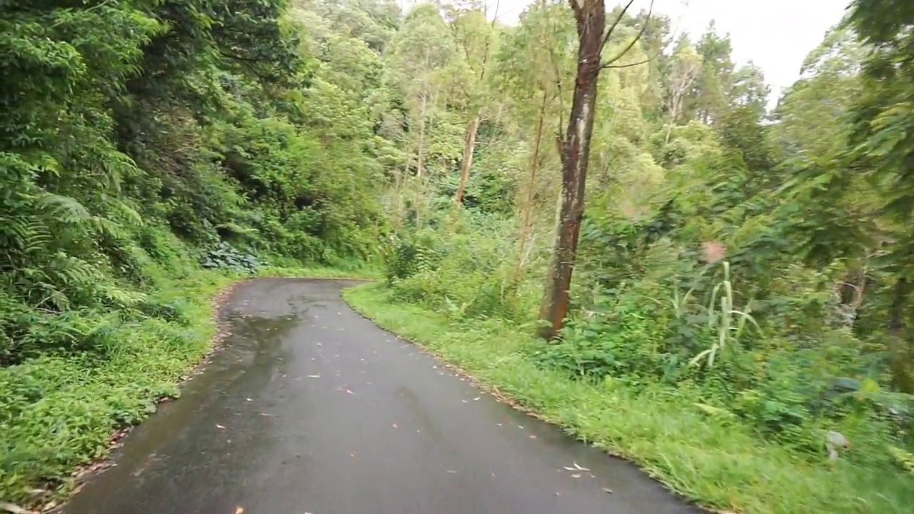 白天雨后多云多雾，沿途有山峦和高大绿树的自然风光视频素材