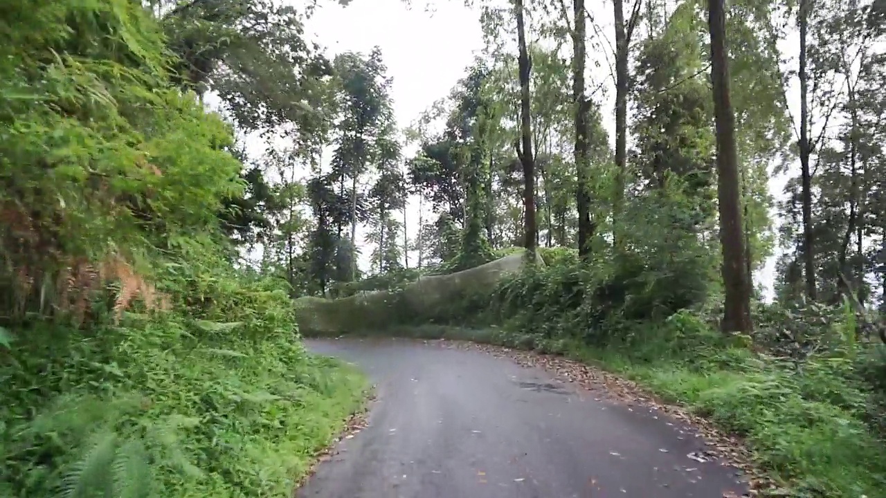 白天雨后多云多雾，沿途有山峦和高大绿树的自然风光视频素材