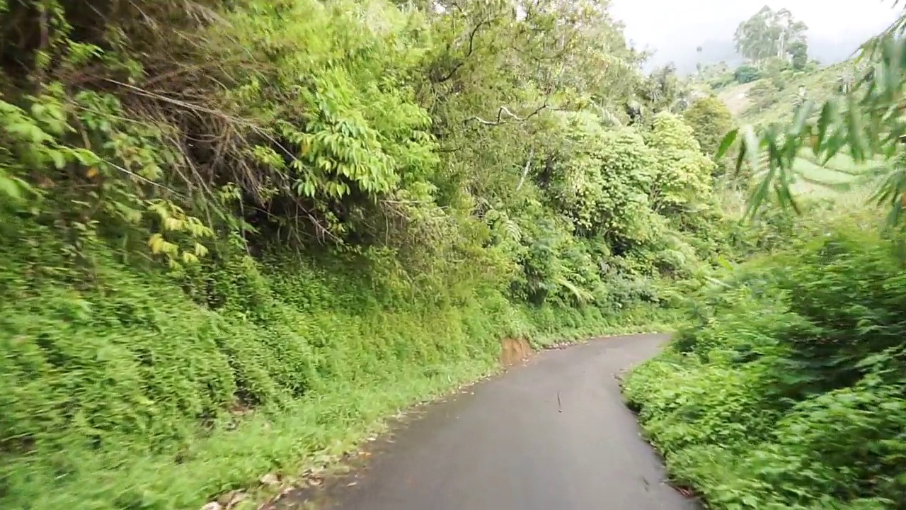 白天雨后多云多雾，沿途有山峦和高大绿树的自然风光视频素材