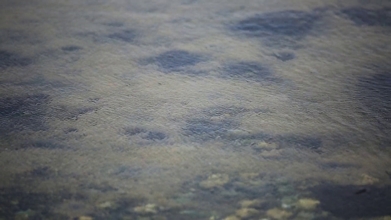 这是济州岛海岸浅海上风吹动的视频视频素材