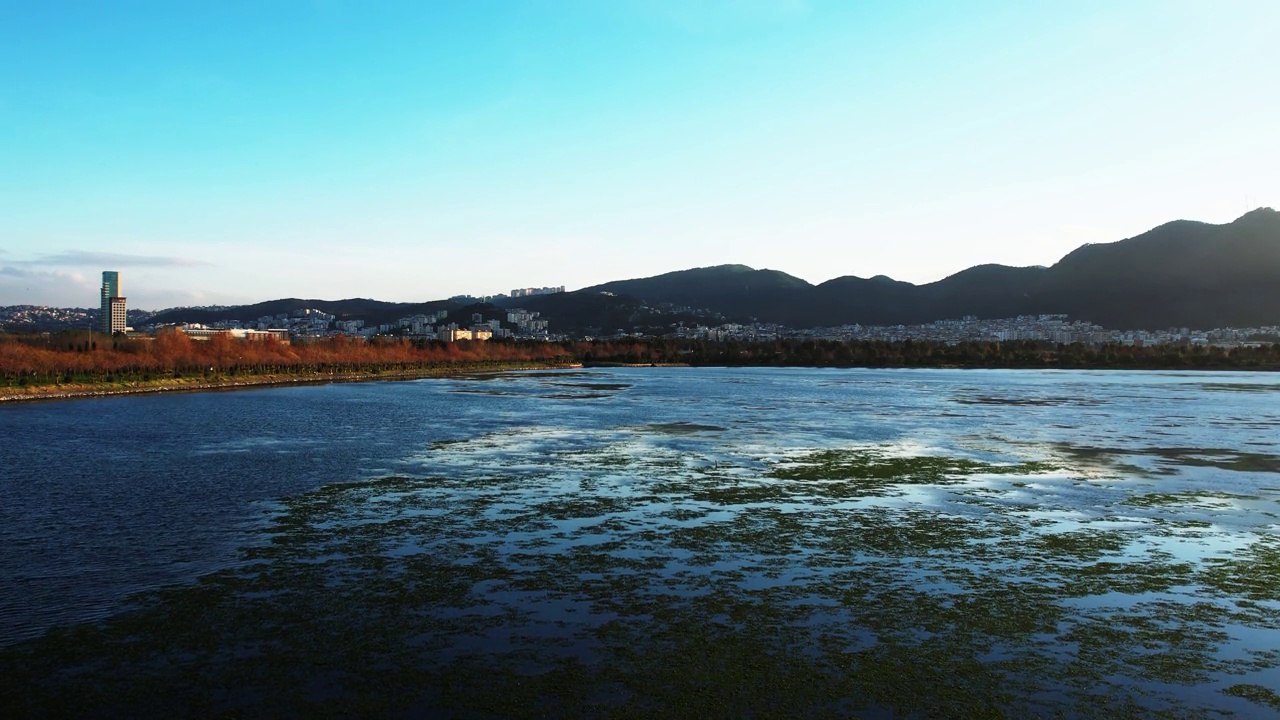 日落时分，无人机在被海莴苣包围的泻湖上空升起。背景为城市和山景。视频素材