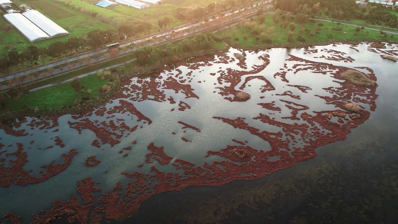 落日时分，因奇拉尔蒂森林火烈鸟栖息地的空中全景图。农场和因奇拉尔蒂公路。视频素材