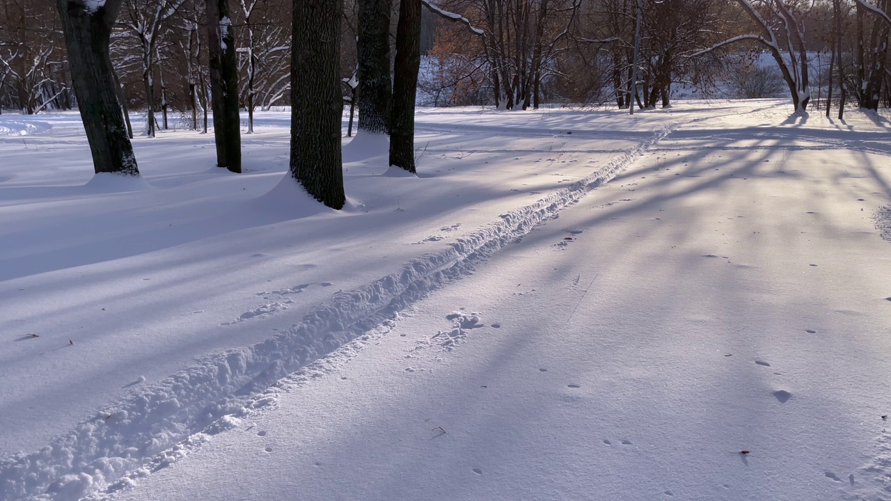 日落时分，公园里有许多树和雪视频素材